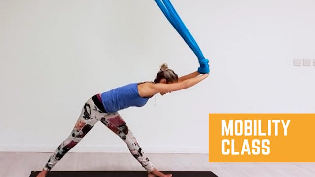 Aerial Yoga for Mobility