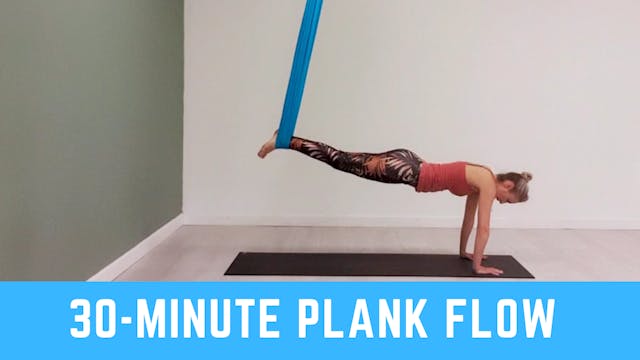 Aerial Yoga Plank Flow