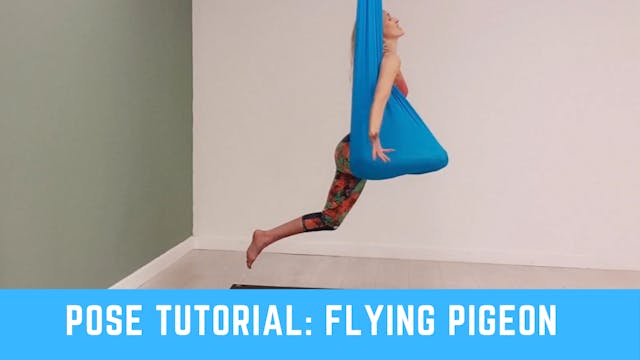 Pose Tutorial: Flying Pigeon