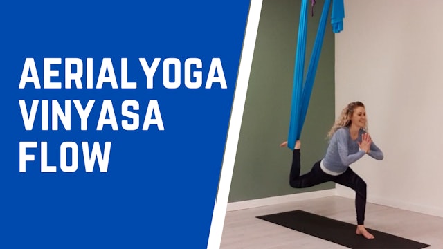 Aerial Yoga Vinyasa Flow