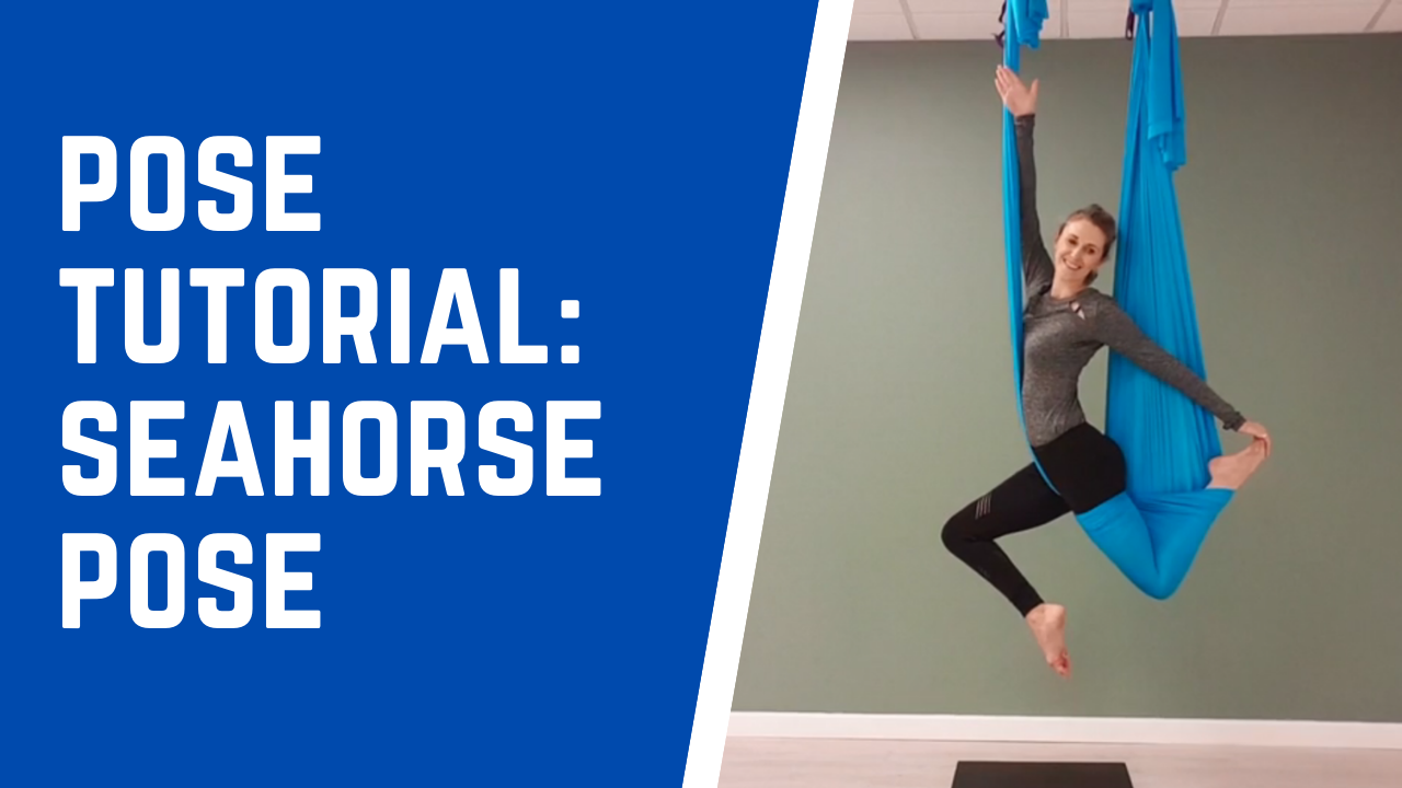 Aerial Yoga Seahorse Pose Tutorial Sequence Class Flips & Tricks! #aeria...  | Aerial yoga, Yoga course online, Yoga courses
