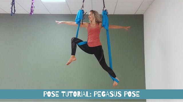 Pose Tutorial: Pegasus Pose