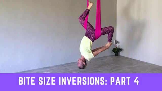 Bite Size Inversions Series - Part 4