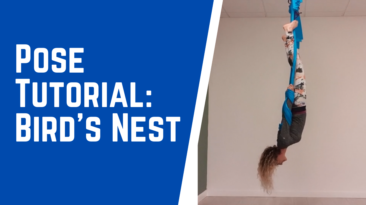 Pose Tutorial: Bird's Nest
