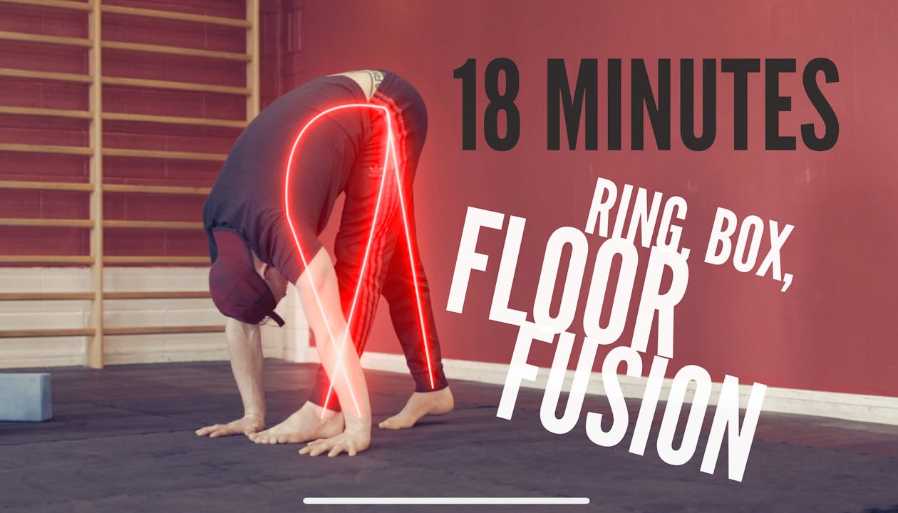 #40 RING, BOX & FLOOR FUSION