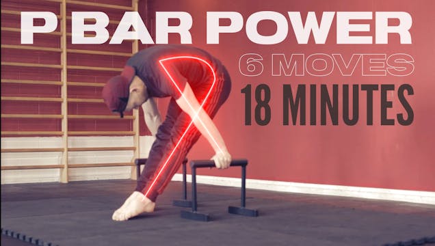 EPISODE 39 - P-BAR POWER!
