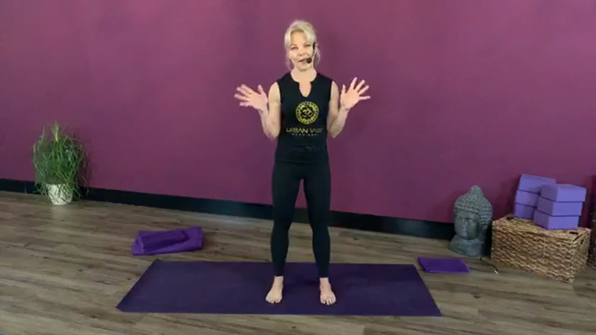 Vinyasa Yoga 1.3