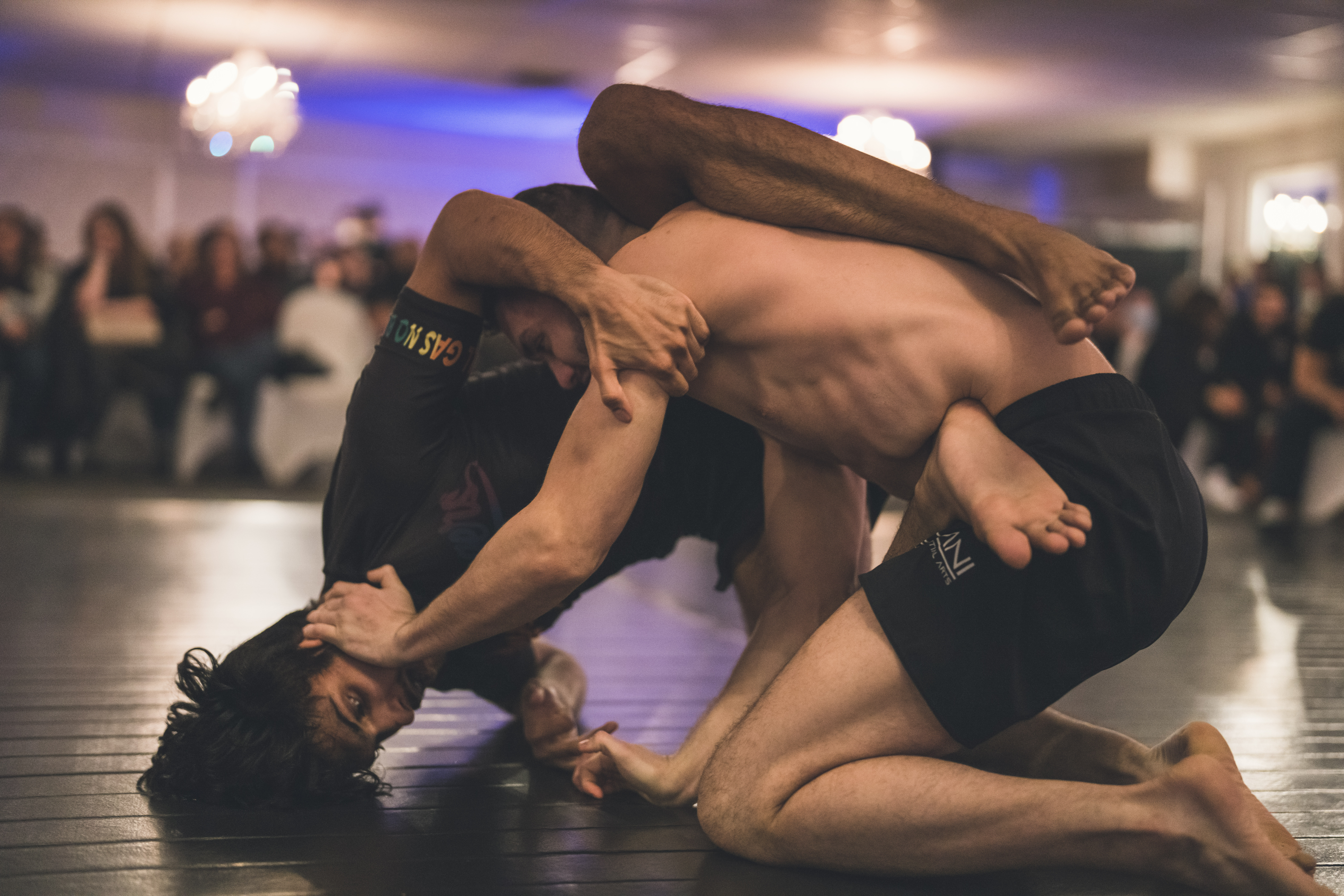 Gabe Cabello vs Zain Ashraf