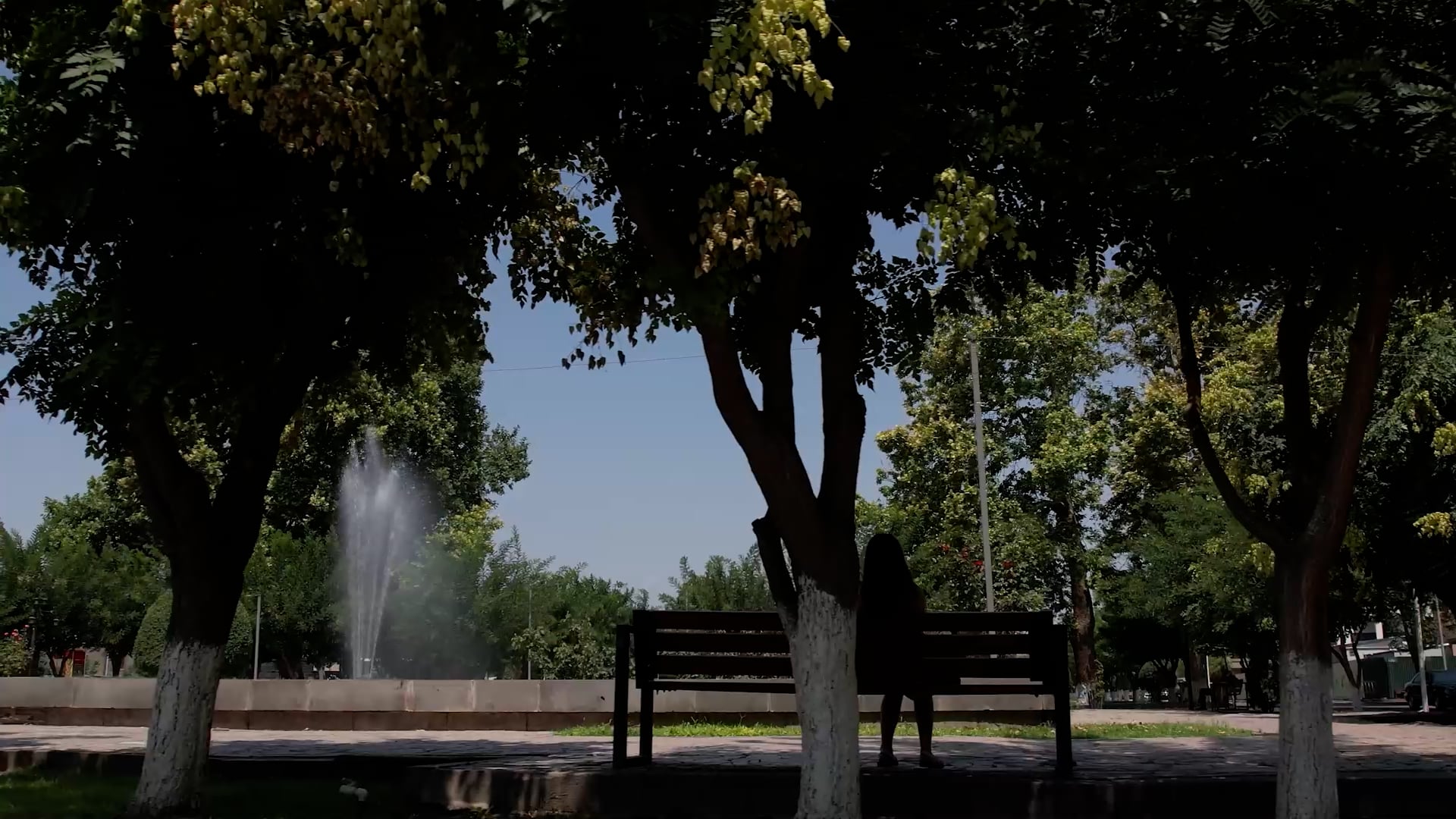 Face Control - YERVANDASHAT