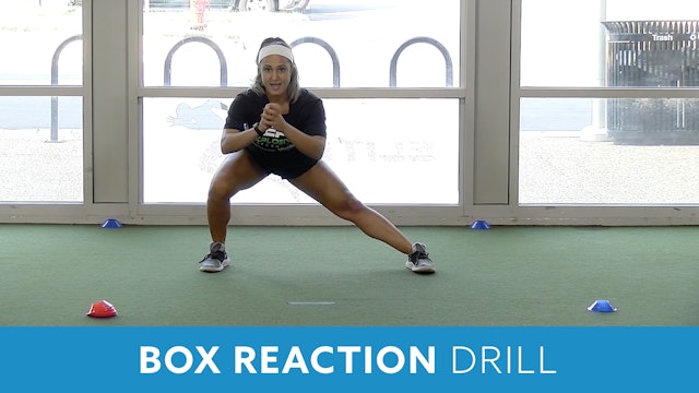 Box Reaction Drill (Explosive Performance) with Sahar