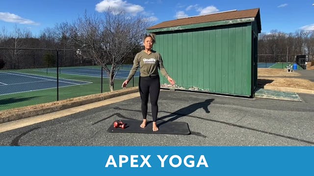 APEX Yoga - Twisted with JoAnne (LIVE...