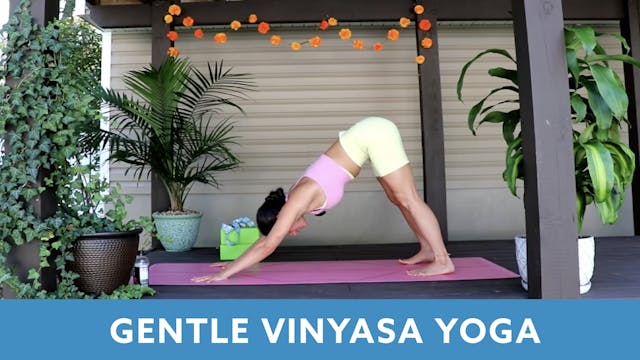 Gentle Vinyasa Yoga with Nina - NOVEMBER