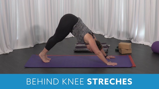 Behind the Knee Stretching Tips with Morgan