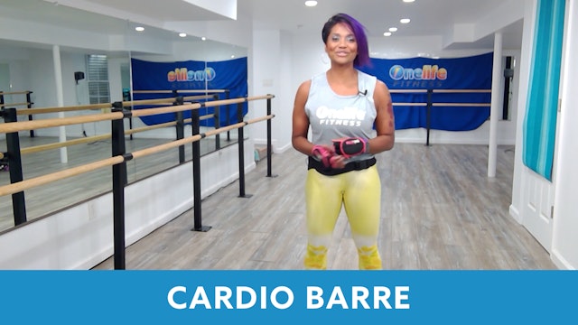 14Day Challenge Day 9 -Cardio Boxing Barre with Shahana 