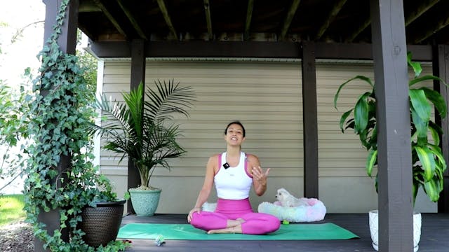 Power Vinyasa Yoga with Nina - OCTOBER