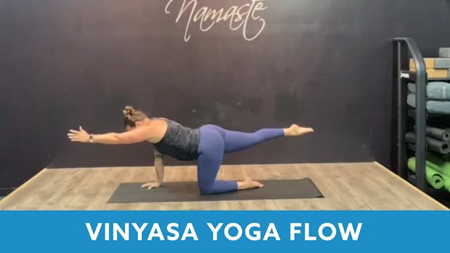 Vinyasa Flow Yoga with Erin (LIVE Tue...