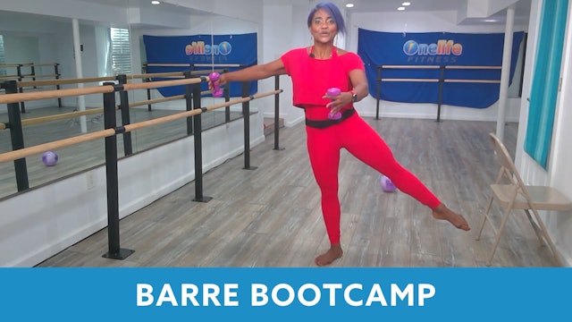 14Day Challenge Day 5 - Barre Bootcamp with Shahana