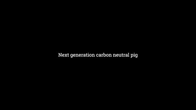 Next generation carbon neutral pig