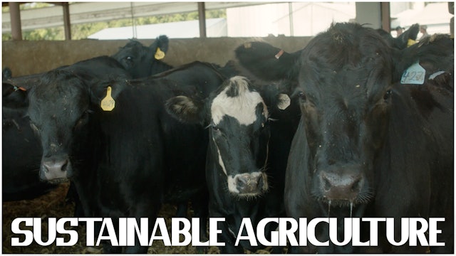 Geraet Farm: Sustainable Agriculture