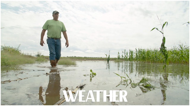 Greenway Farm: Weather