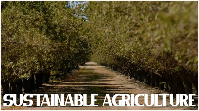 Steve Maddox: Sustainable Agriculture