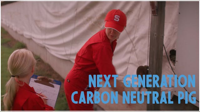 Next generation carbon neutral pig