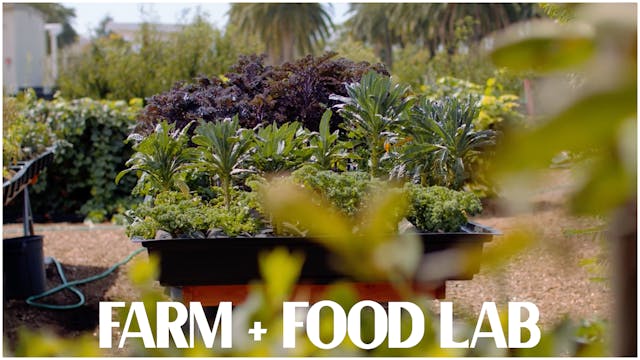A.G. Kawamura: Farm + Food Lab