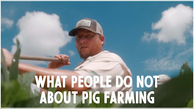 What people do not know about pig far...
