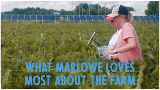 What Marlowe loves most about the farm