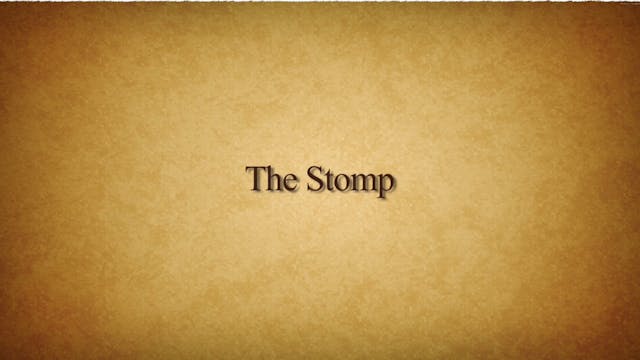 Line Dance #16 - The Stomp