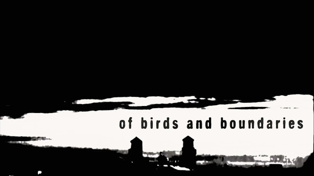 Of Birds and Boundaries