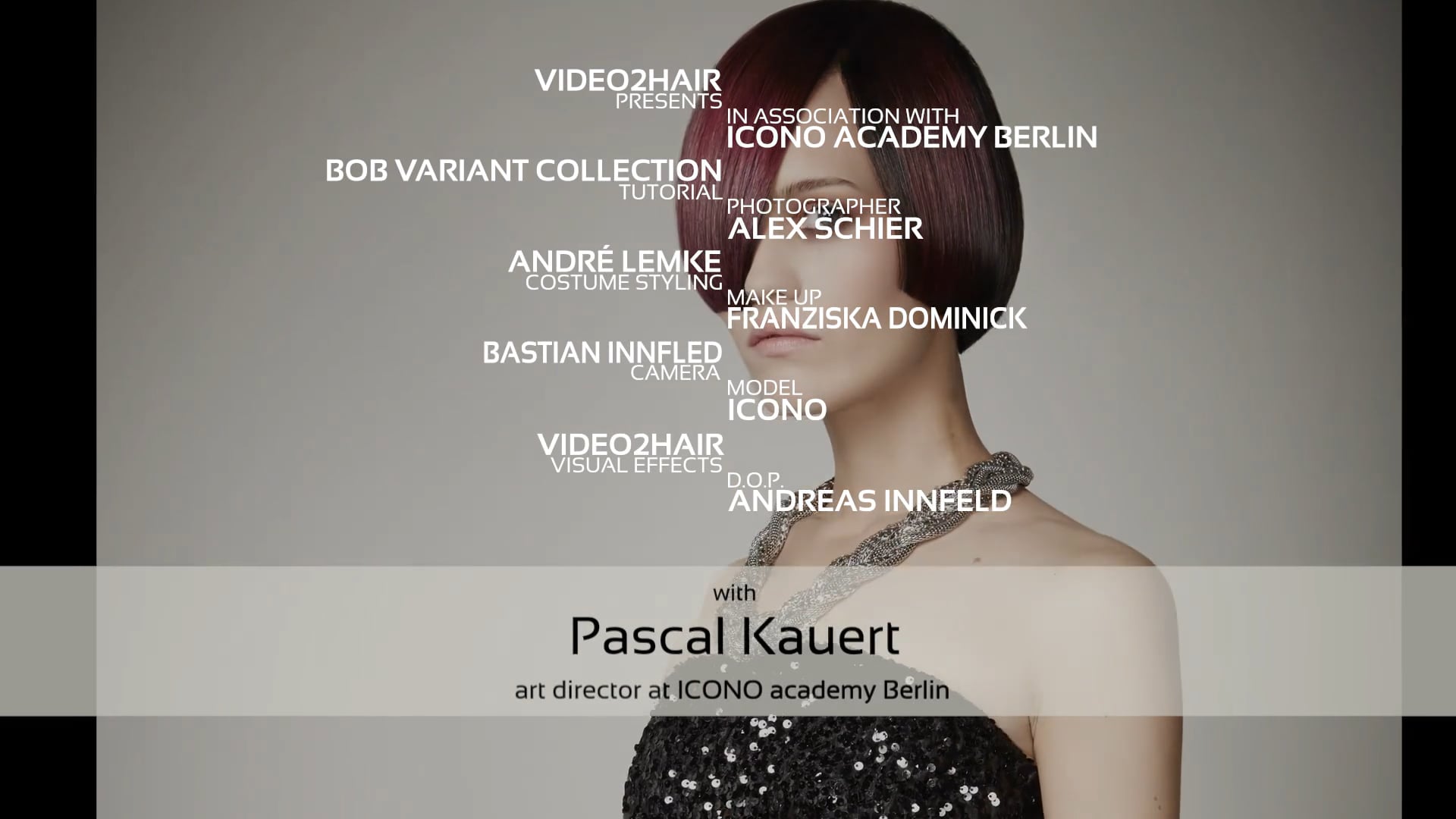 #01 - DIVIDING - ICONO steffi