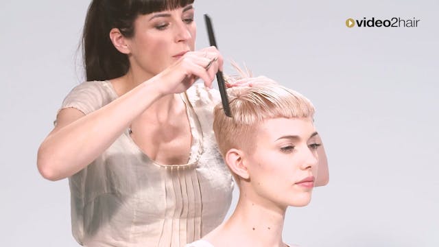 #08 - TOP HEAD SECTION  - GRAPHIC lines