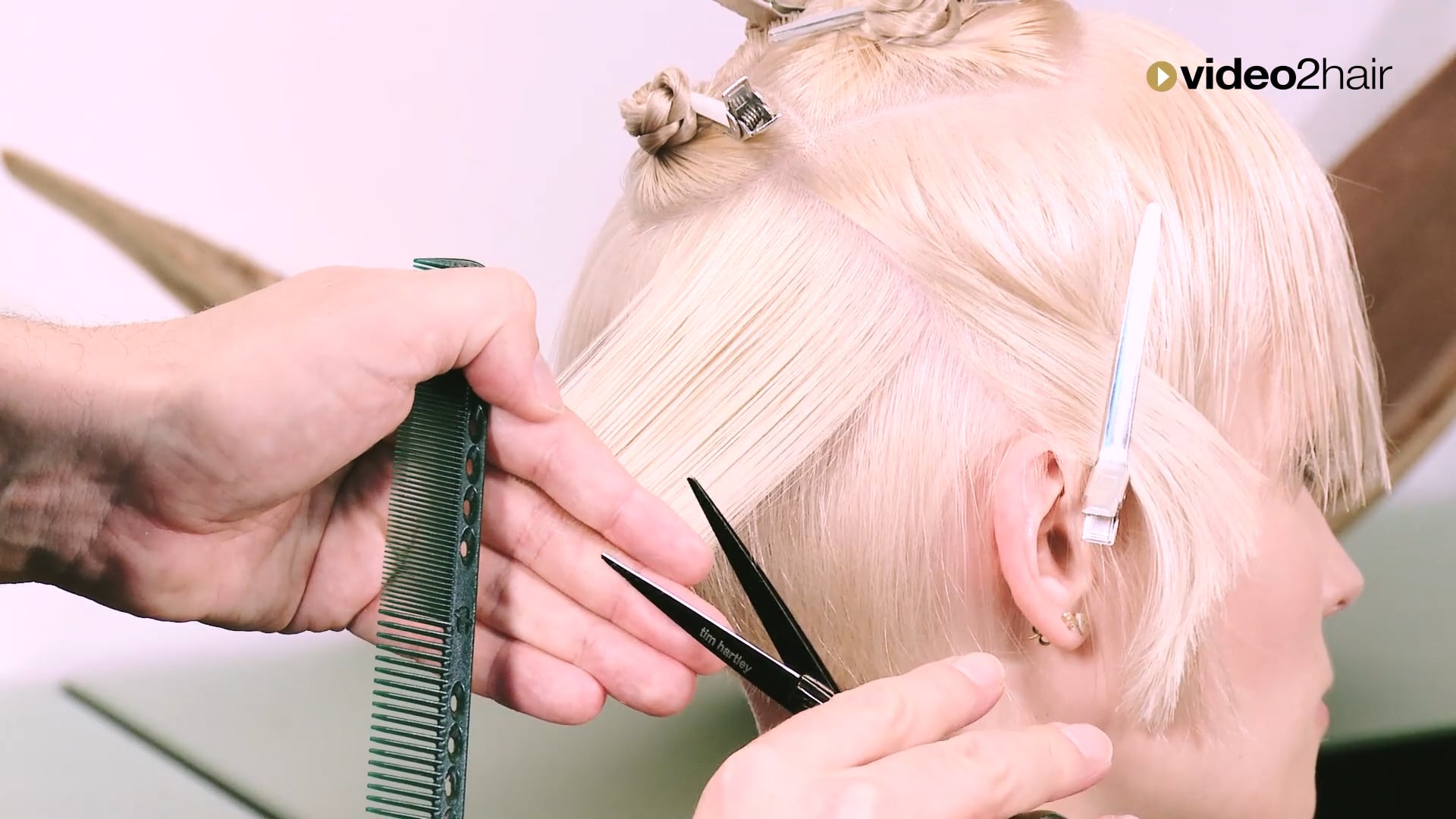 #03 - GRADUATION - BOX bob