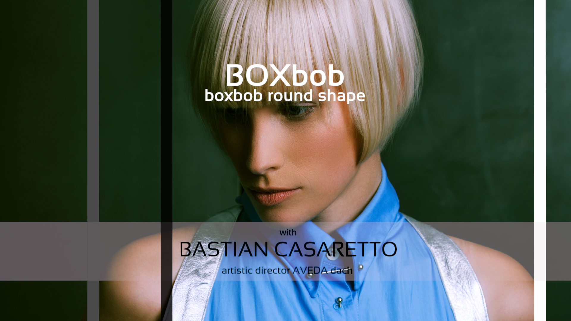 COMPLETE TRAINING - BOX bob