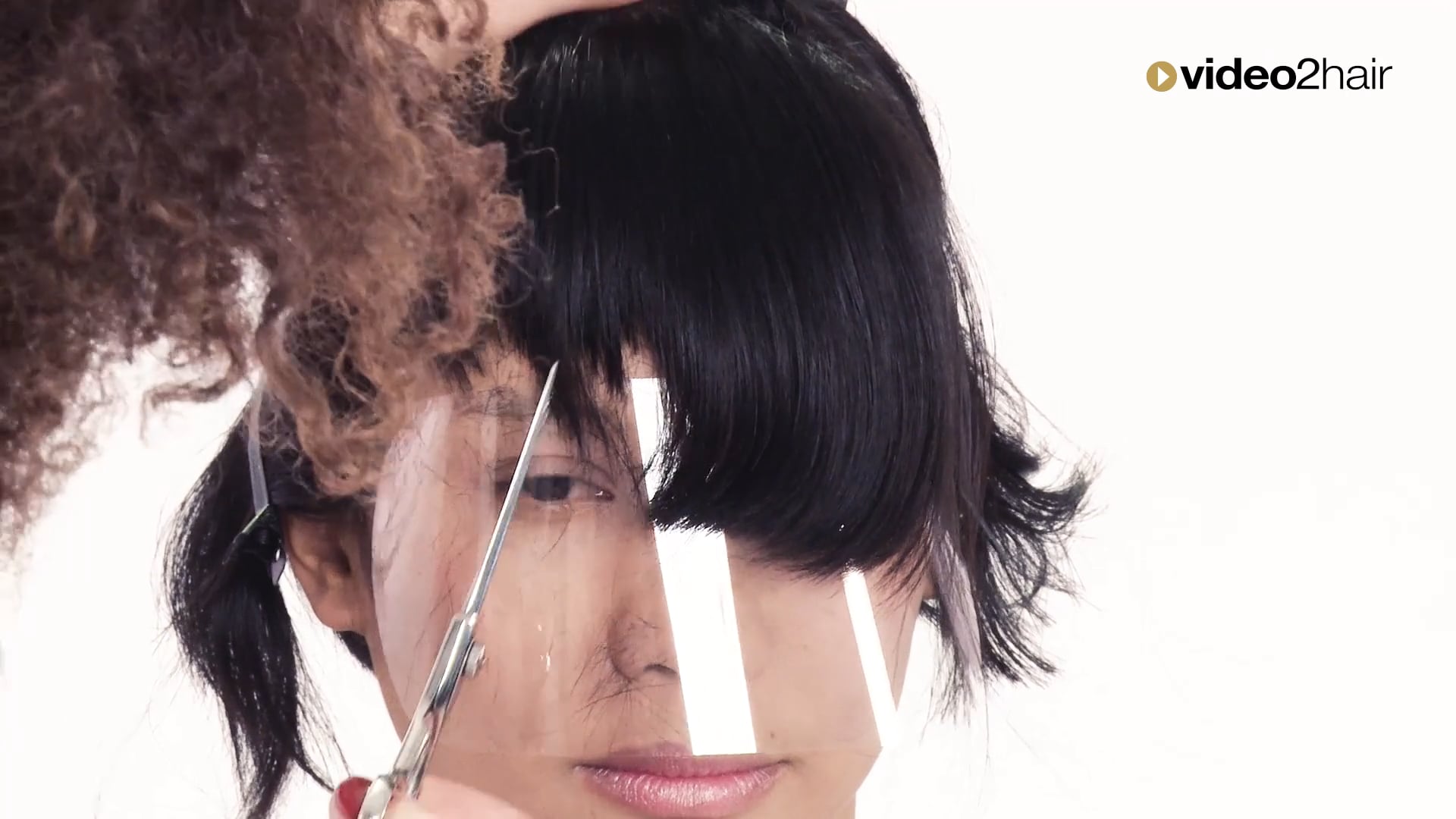 #04 - FRINGE SECTION - FIBER move