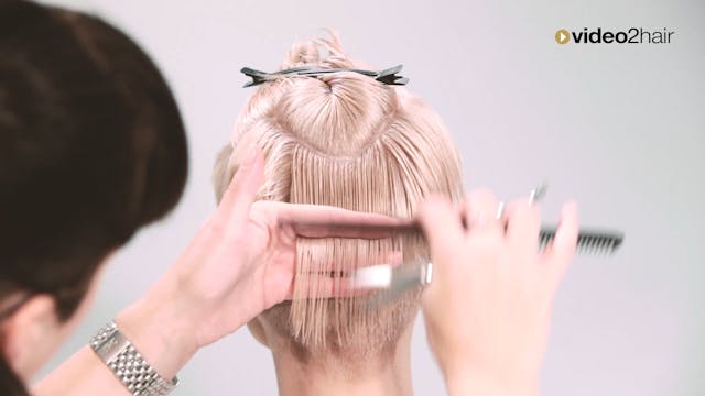 #04 - ROUND BASE LINE - GRAPHIC lines