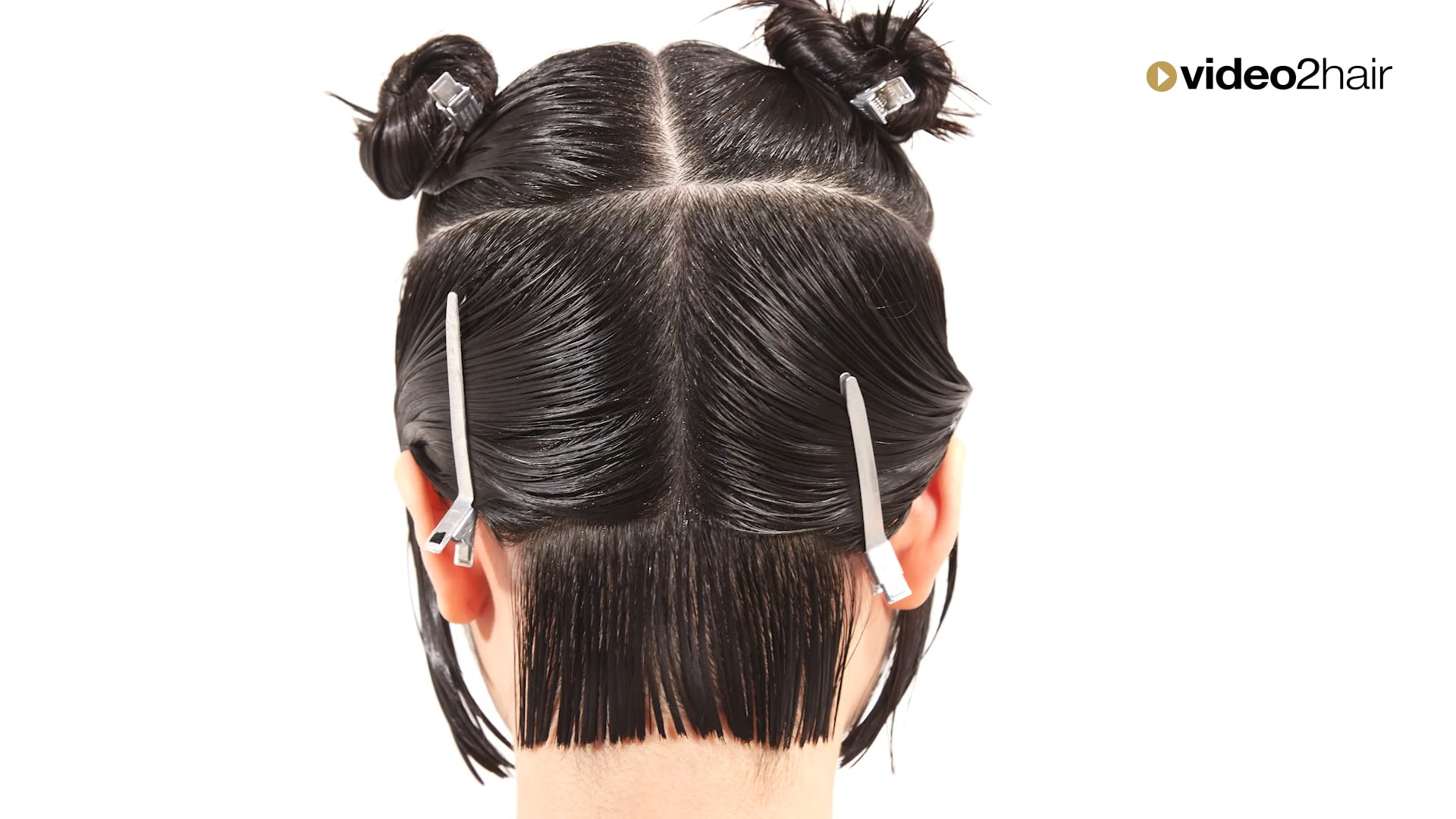 #01 - DIVIDING - BRIEFLY length