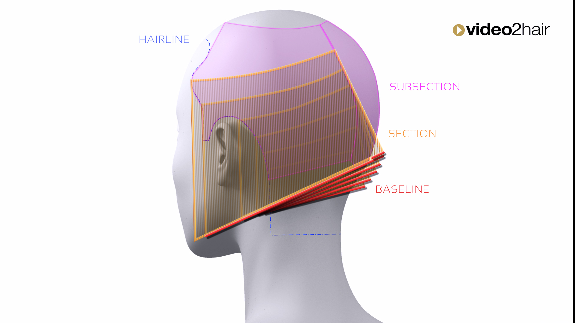 #04 - OPPOSITE - LINE graduation