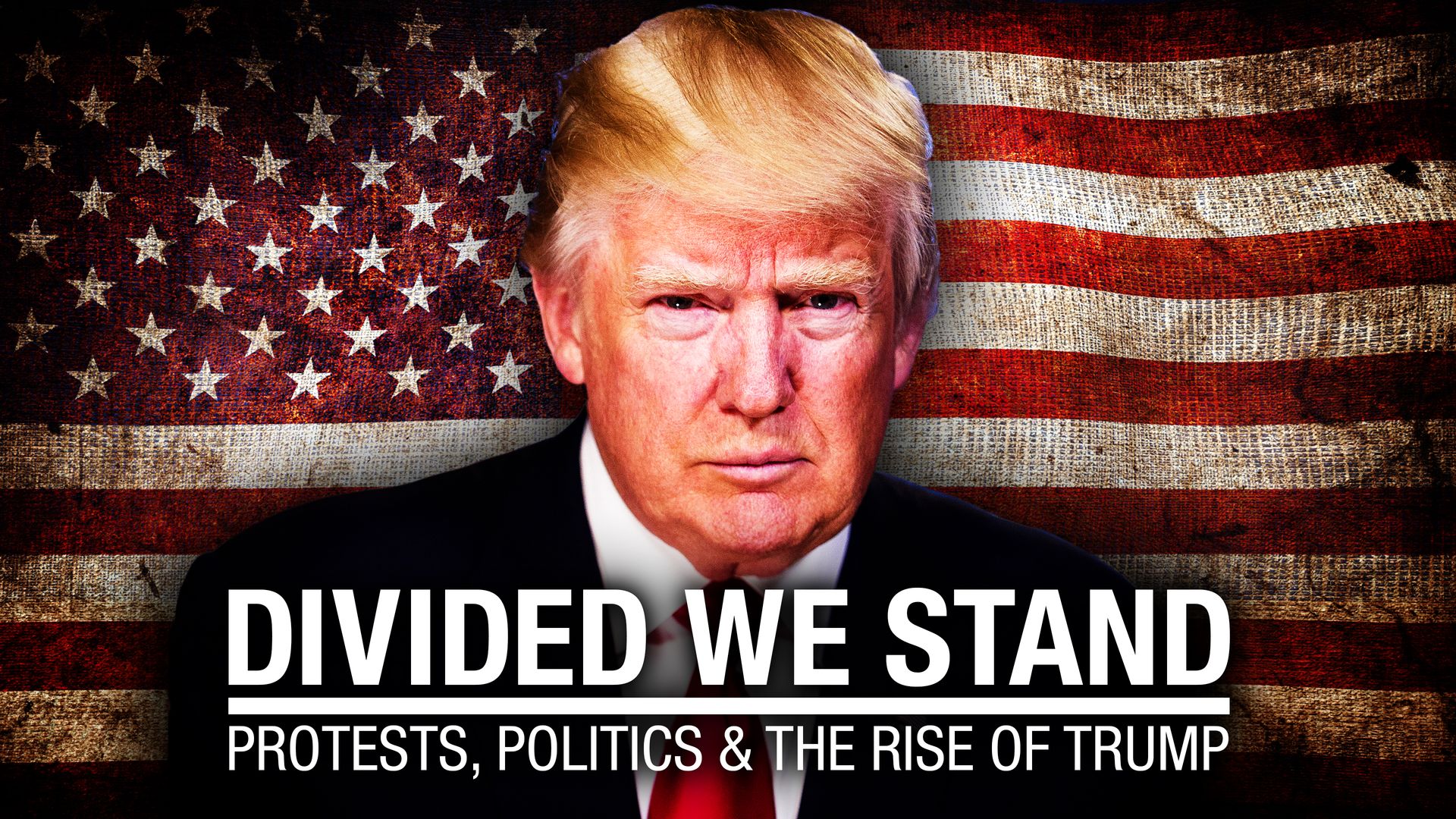Divided We Stand: Protests, Politics, & the Rise of Trump