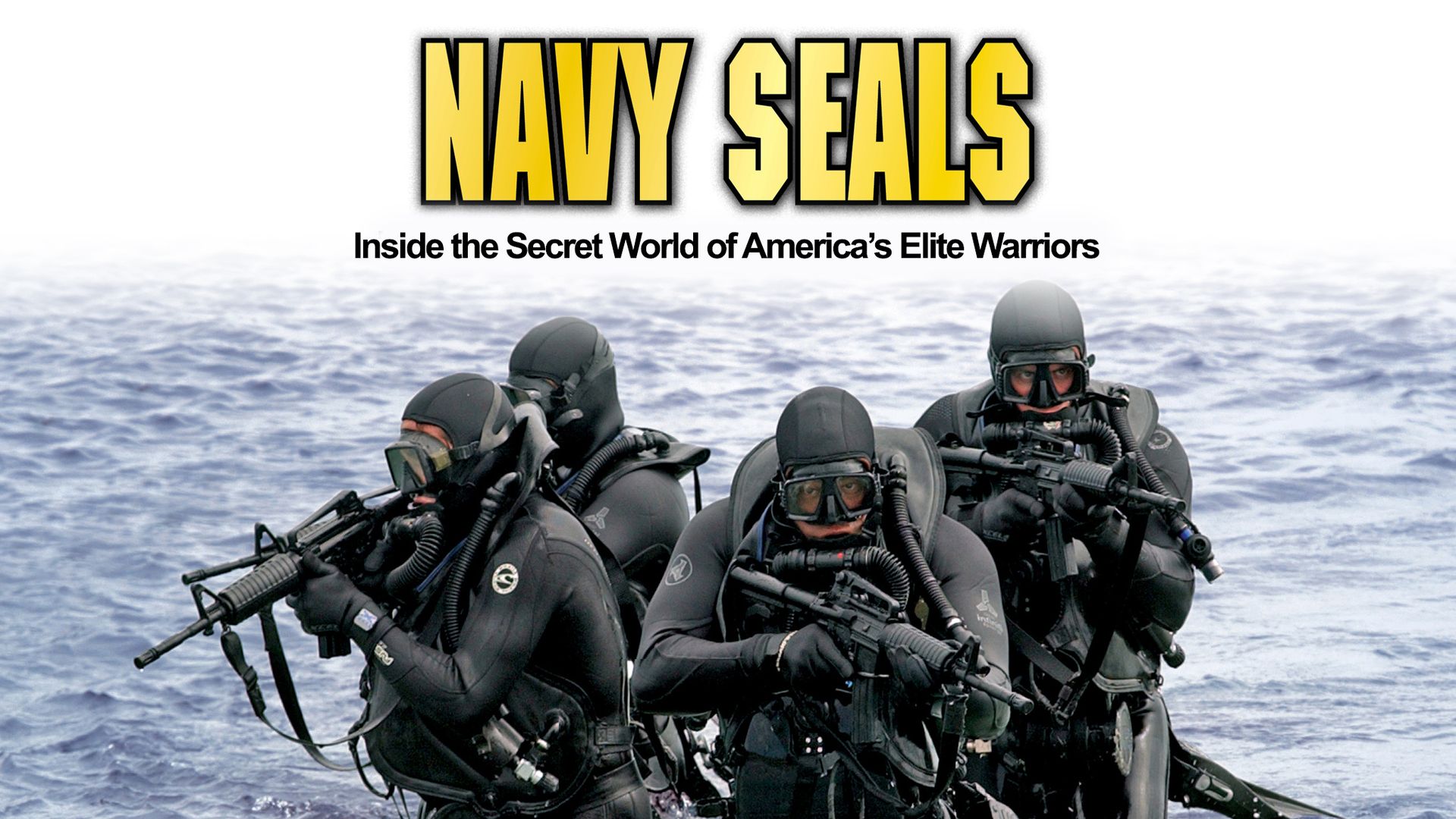 Navy SEALs: The Silent Option