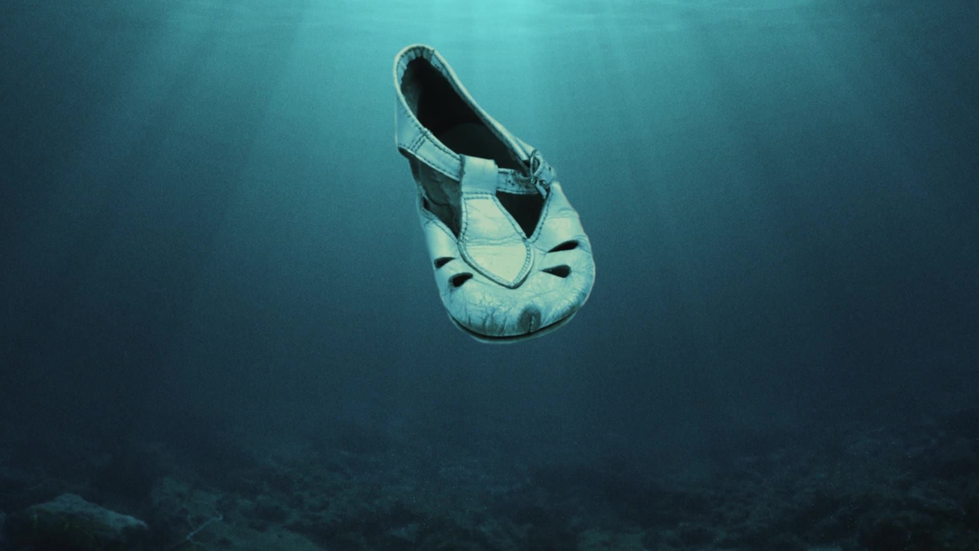 Life to Afterlife: Death and Back