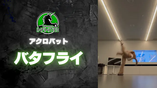 7-4.アクロバット バタフライ