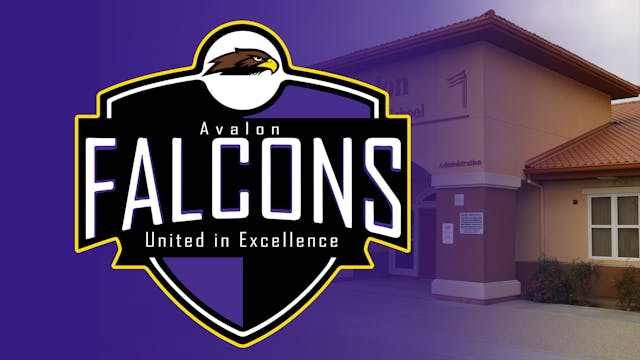 Avalon Falcon Morning News - 02/14/20...