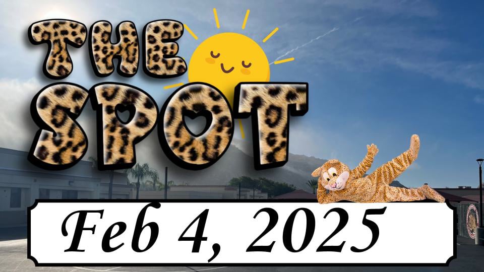 LES - The Spot 2/4/25