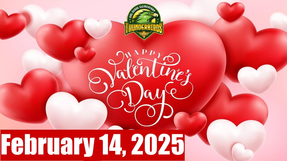 Thunderbird News! 2-14-25