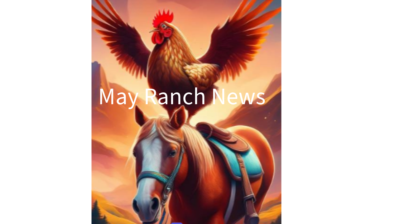 May Ranch News - 12/04/2024, 15:59:06