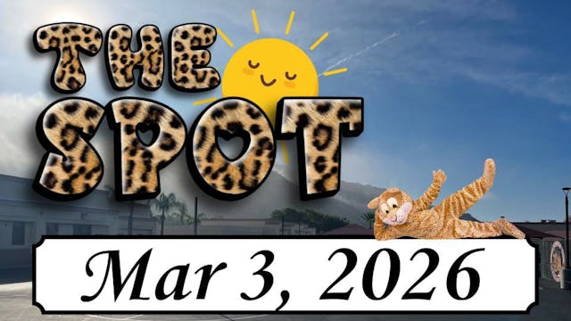 LES - The Spot 3/3/26