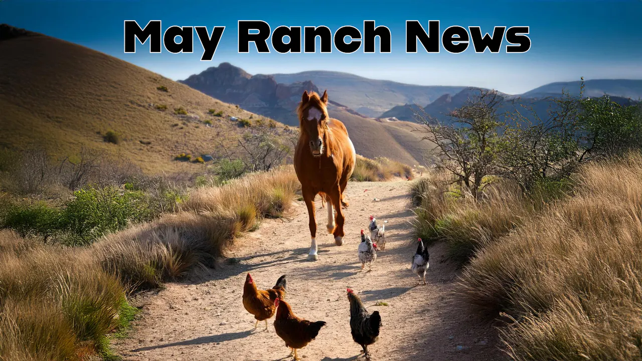 May Ranch News