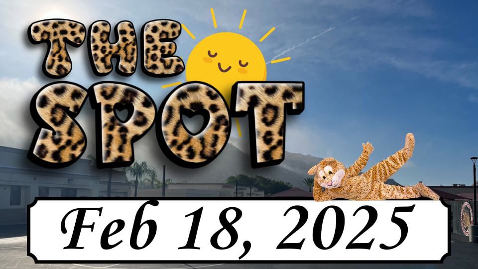 LES - The Spot 2/18/25